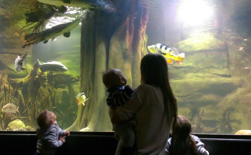 Gdzie na spacer z dzieckiem? Odkryj najlepsze miejsca na rodzinne spacery